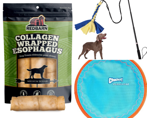 Aussie Dogs Favorite Things cover photo collage