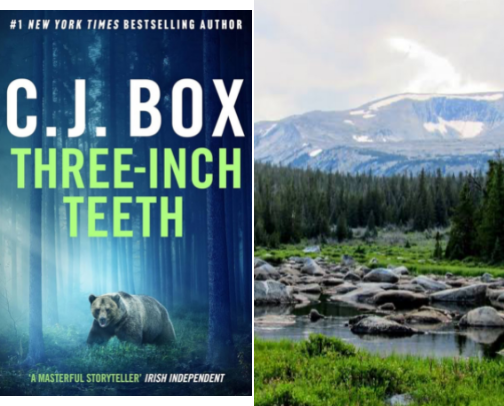 Find the right book for you :) cover photo collage