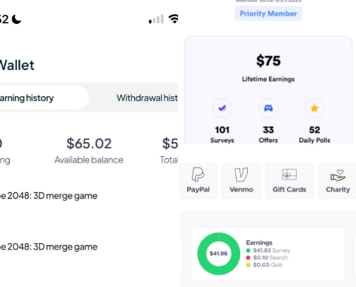 I tested side hustles so you don’t have to cover photo collage