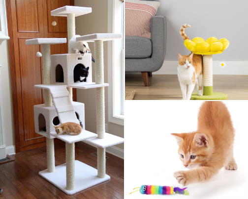 PETSMARTS toys and beds for your cat🐈🐈‍⬛ cover photo collage