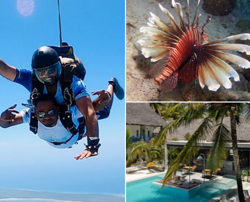 Zanzibar Recommendations cover photo collage