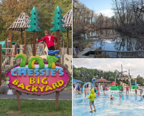 Playgrounds in NOVA we visit over and over again cover photo collage