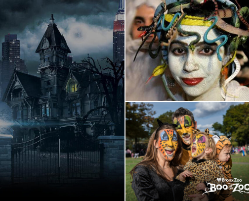 Halloween 🎃 Vibes in NYC! cover photo collage