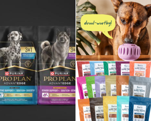 Dog Recommendations cover photo collage