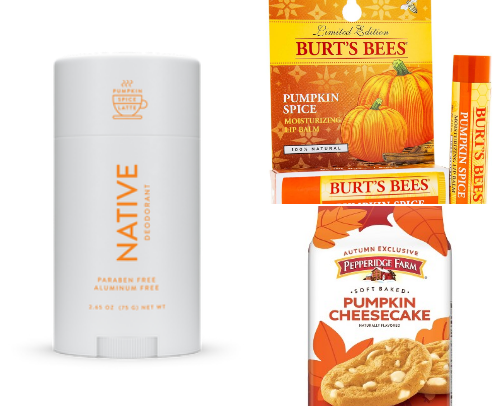 Everything Pumpkin Spice cover photo collage
