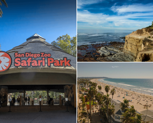 places to go visit in San Diego 🌞 cover photo collage