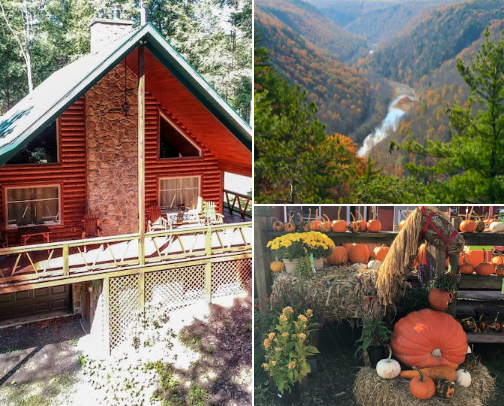 Crisp air, cozy nights,fall foliage and pumpkin spice! cover photo collage