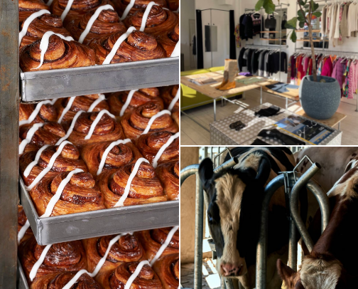 chloe’s certified cool girl guide to the city of canals cover photo collage