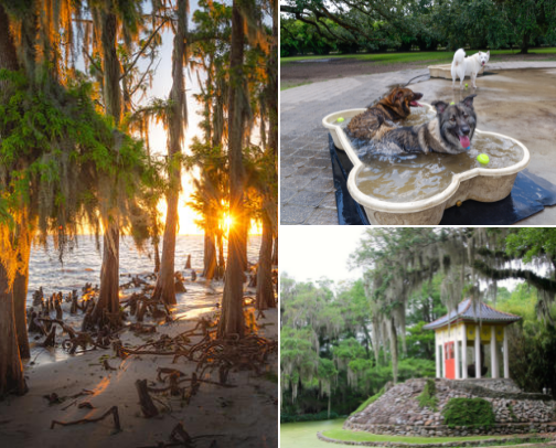 Best Things to Do in Southeast Louisiana | Hidden Gems, Food, & Weekend Fun cover photo collage