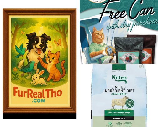 Pet Hacks cover photo collage