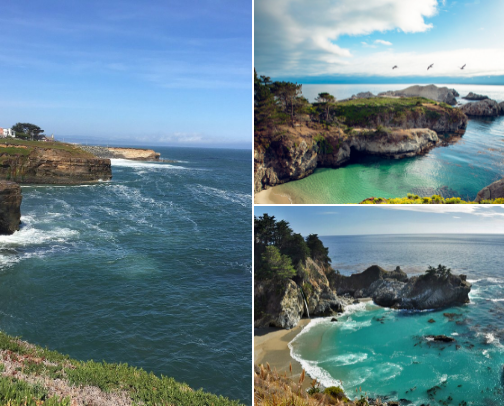 Favorite Ocean Activities cover photo collage