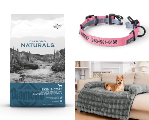 Things Our Labradoodles Can’t Live Without cover photo collage