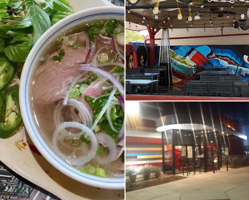 Vegan Dining Out cover photo collage