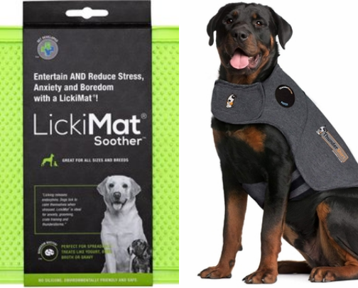 Dog Products That Went Viral on TikTok (And Actually Live Up to the Hype) cover photo collage