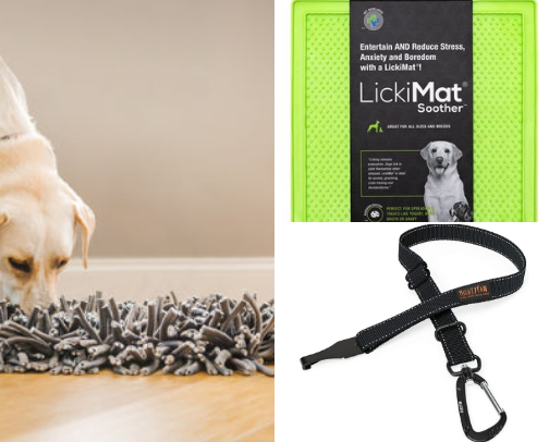Dog Products That Went Viral on TikTok (And Actually Live Up to the Hype) cover photo collage