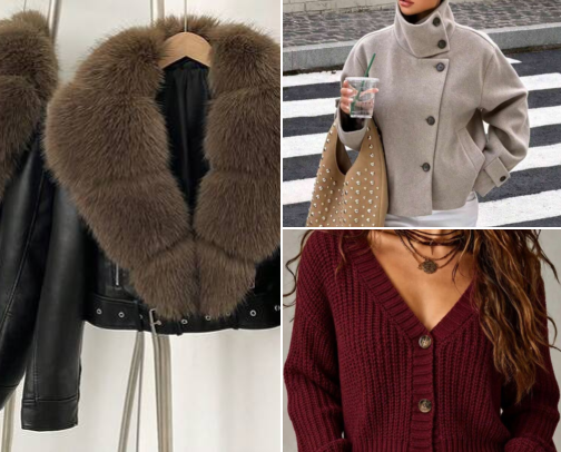 Cheap but expensive shein AUTUMN outfits cover photo collage