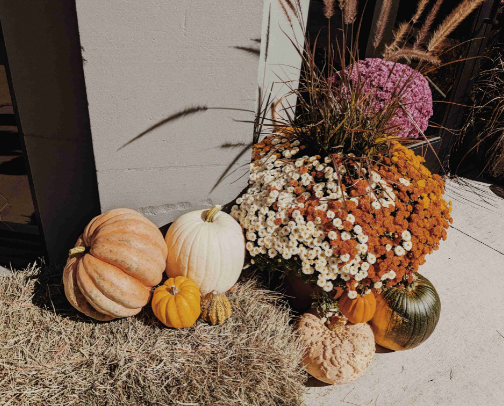 my favorite fall things 🍂 cover photo collage