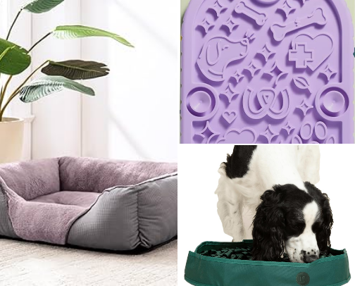 Dog Essentials Every Pet Parent Needs cover photo collage