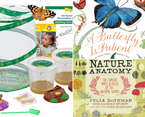 Everything we use for homeschooling🐛 cover photo collage