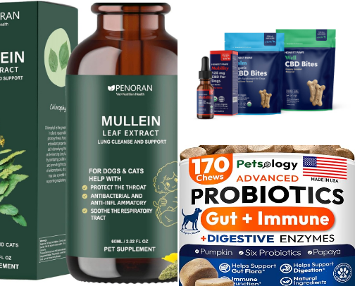 Products I use to keep my pups happy and healthy cover photo collage