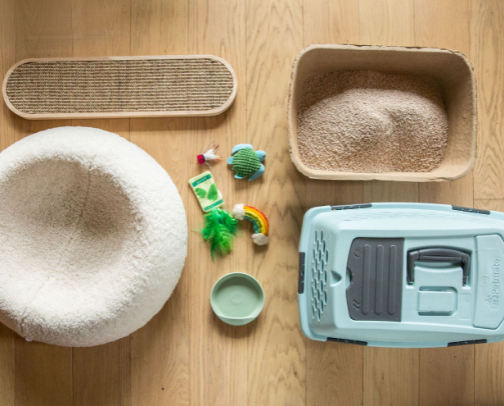 New cat owner essentials cover photo collage