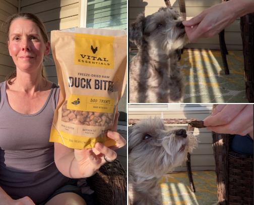 Favorite Pet Products My Dog Actually Uses | Healthy, Safe & Everyday Essentials for Dogs cover photo collage