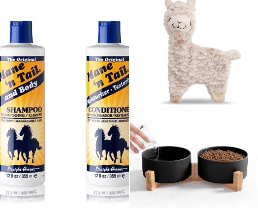 Pawsome Picks: My Curation of Doggy Must-Haves cover photo collage