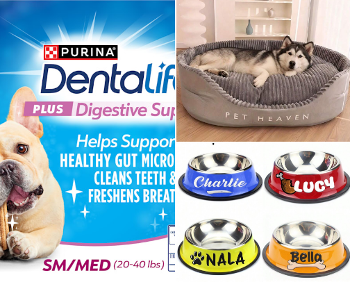 Pet Care Essentials cover photo collage