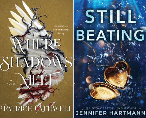 🔥 Burned, Betrayed, and Bewitched: A Dark Romance & Romantasy TBR Bundle cover photo collage