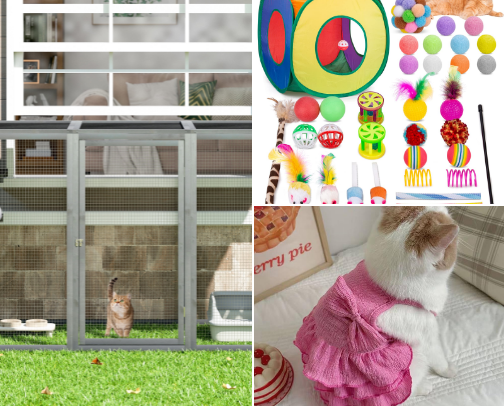 Cats and Cats 🐈 😻 cover photo collage