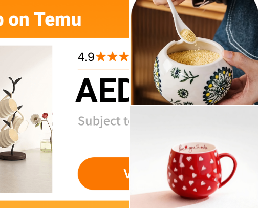 Your best choices from TEMU cover photo collage