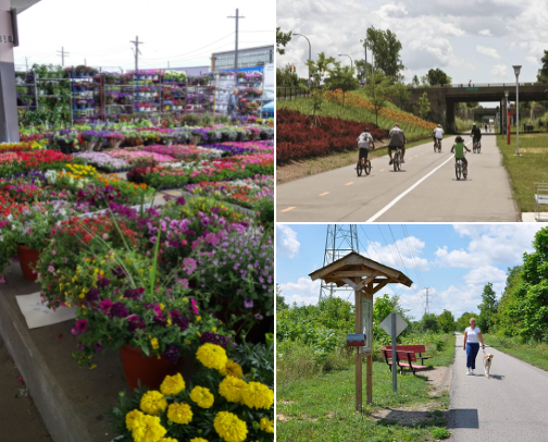 Things to do in Metro Detroit cover photo collage