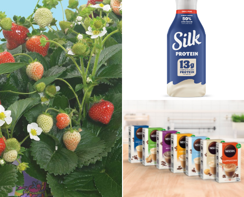 Foods I eat or drink on the daily cover photo collage
