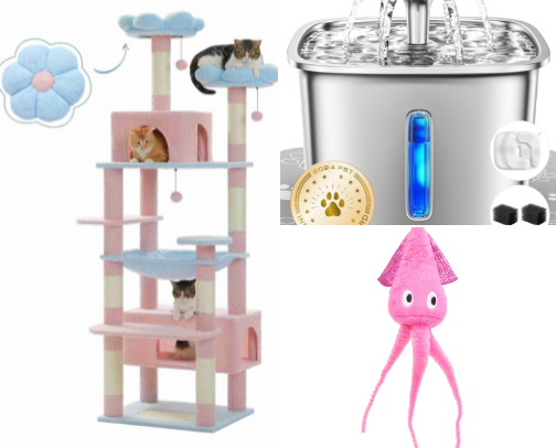 things my cat actually uses (he's not that smart) cover photo collage