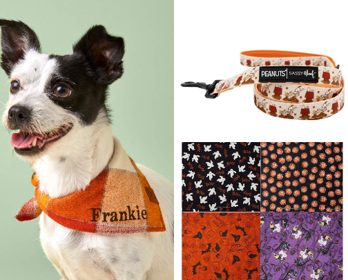Dog Essentials!! 🐶 🐾 cover photo collage