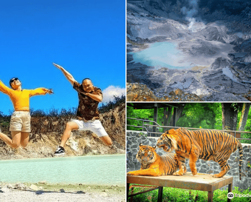 Must Visit In Bandung ✈️ cover photo collage