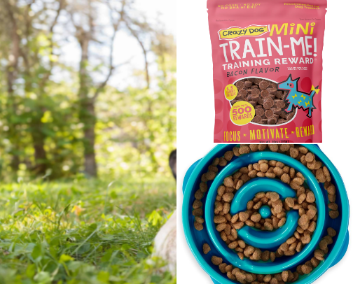 My Favorite Pet Finds! cover photo collage