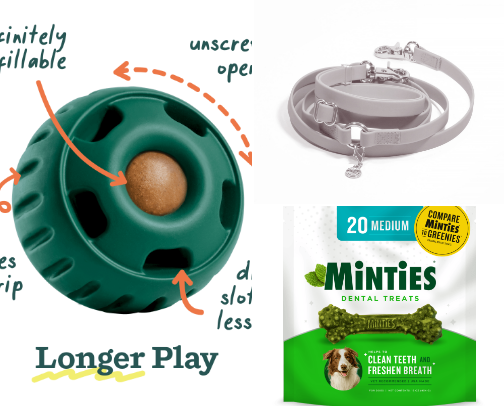 pet must-haves! cover photo collage