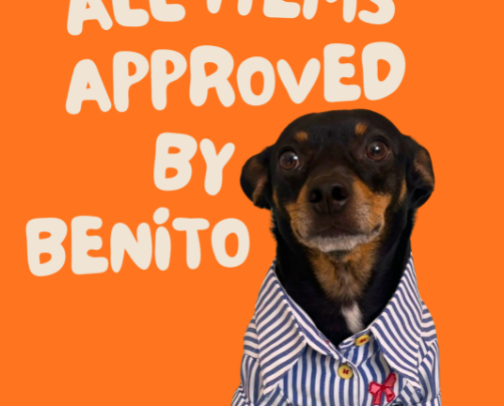 Benito Approved cover photo collage
