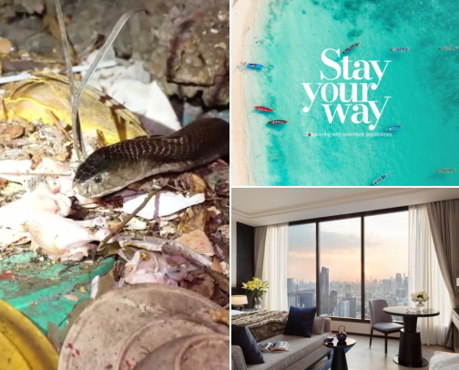 A Comfy Base for Your Trip to Thong Lo, Bangkok, Thailand cover photo collage