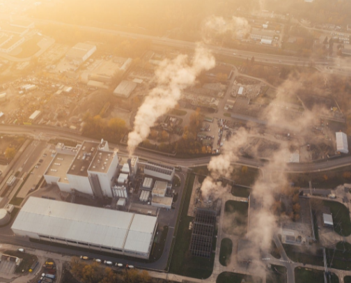 Viruses + Bacteria! cover photo collage