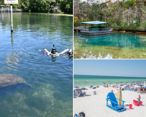 My Florida Go-To’s cover photo collage