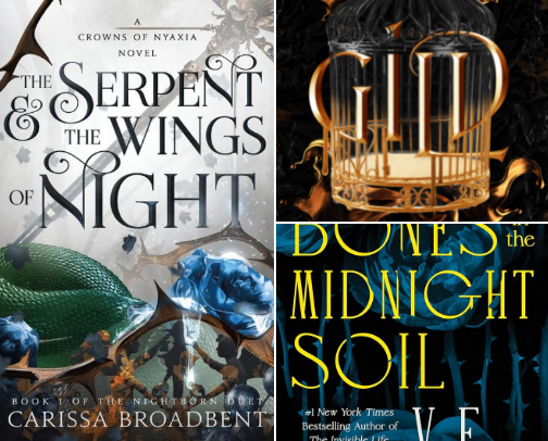 Fantasy Romance book recs 💫 cover photo collage