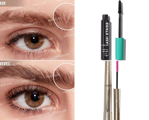 The Ultimate Lip and Eye Essentials cover photo collage