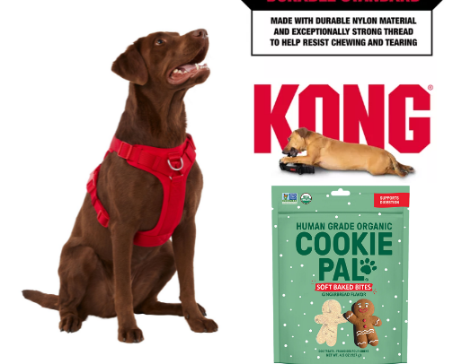 My Top Dog Essentials | Everything Your Pup Needs cover photo collage