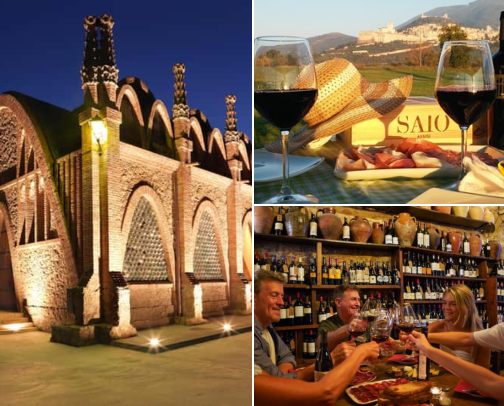 Experiencias Gastronómicas y Catas con Encanto cover photo collage