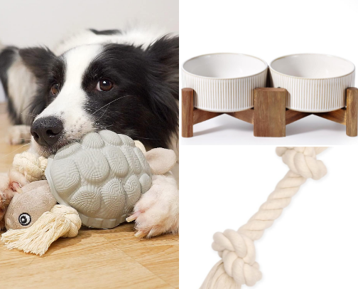 Everyday Dog Essentials cover photo collage