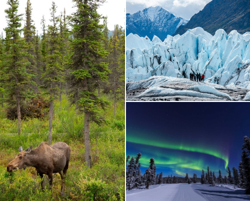 A Cool Girls Guide to a Solo Road Trip Through Alaska cover photo collage