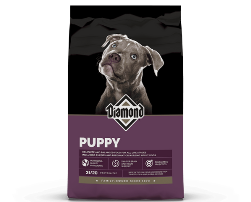 Our Pitties Essential Stuffs 🦮🦮 cover photo collage