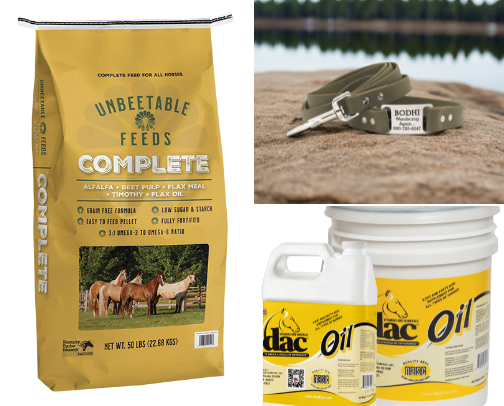 Chewy pet supplies cover photo collage